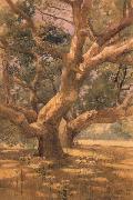 Oaks and Shadows unknow artist